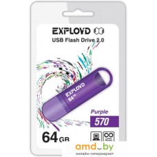 USB Flash Exployd 570 64GB (фиолетовый) [EX-64GB-570-Purple]