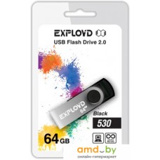 USB Flash Exployd 530 64GB (черный) [EX064GB530-B]