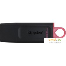 USB Flash Kingston Exodia 256GB