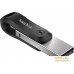 USB Flash SanDisk iXpand Go 256GB SDIX60N-256G-GN6NE. Фото №3