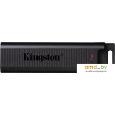 USB Flash Kingston DataTraveler Max Type-C 1TB