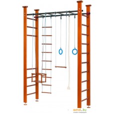 Детский спортивный комплекс Карусель 4Д.02.01 с рукоходом (орех)