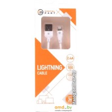 Кабель Digital Part LC-301 USB Type-A - Lightning (1 м, белый)