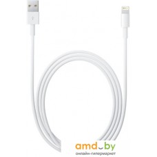 Кабель Apple USB 2.0 Type-A - Lightning (1 м, белый)