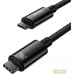 Кабель Baseus Tungsten Gold Fast Charging Data Cable USB Type-C - USB Type-C (2 м, черный). Фото №2