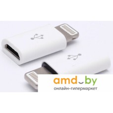 Адаптер Digital Part AD-035 Lightning - MicroUSB