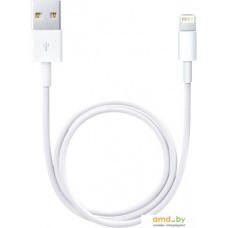 Кабель Apple USB 2.0 Type-A - Lightning (0.5 м, белый)