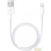 Кабель Apple USB 2.0 Type-A - Lightning (0.5 м, белый). Фото №1