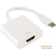 Адаптер SBOX AD.HDMI-TypeC