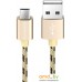 Кабель Borofone BX24 microUSB 1 м (золотистый). Фото №1