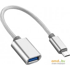 Адаптер Atom USB Type-C 3.1 - USB А 3.0 OTG 0.15м (серебристый)