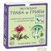 Настольная игра Правильные игры Эволюция. Трава и грибы (дополнение) 13-01-07. Фото №1