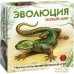 Настольная игра Правильные игры Эволюция. Новый мир. Фото №1