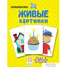 Настольная игра Стиль Жизни Живые картинки (Schau Mal)