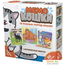 Настольная игра Нескучные игры Мемо. Кошки 834436