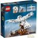 Конструктор LEGO Harry Potter 75979 Букля. Фото №2