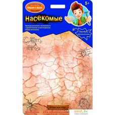 Набор для опытов Bondibon Науки с Буки Насекомые ВВ4111