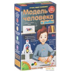 Набор для опытов Bondibon Науки с Буки Модель человека ВВ1840