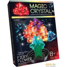 Набор для опытов Danko Toys Мagic Crystal Огненный цветок OMC-01-08