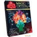 Набор для опытов Danko Toys Мagic Crystal Огненный цветок OMC-01-08. Фото №1