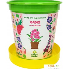 Набор для опытов Happy plant Флокс очарование hpn-29