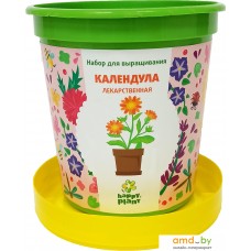 Набор для опытов Happy plant Календула лекарственная hpn-27