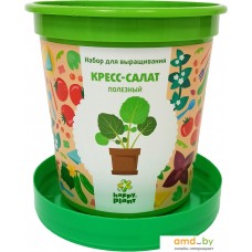 Набор для опытов Happy plant Кресс-салат полезный hpn-33