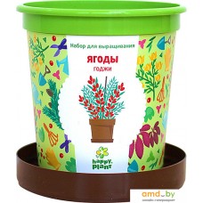 Набор для опытов Happy plant Ягоды Годжи hpn-18