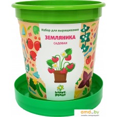 Набор для опытов Happy plant Земляника садовая hpn-26