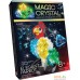 Набор для опытов Danko Toys Мagic Crystal Попугай OMC-01-06. Фото №1