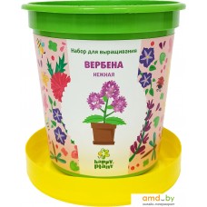 Набор для опытов Happy plant Вербена нежная hpn-32