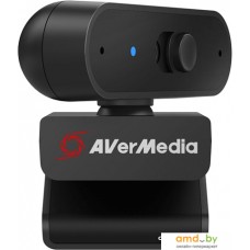 Веб-камера AverMedia PW310P