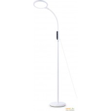 Торшер Ambrella light TR97701