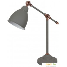 Настольная лампа Arte Lamp Braccio A2054LT-1GY