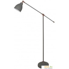 Arte Lamp Braccio A2054PN-1GY