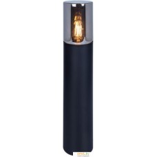 Садовый светильник Arte Lamp Wazn A6215PA-1BK