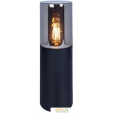 Садовый светильник Arte Lamp Wazn A6218FN-1BK