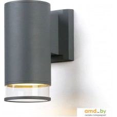 Уличный настенный светильник Ambrella light Garden ST3818