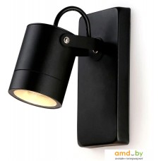 Уличный настенный светильник Ambrella light Garden ST3883