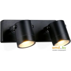 Уличный настенный светильник Ambrella light Garden ST3888