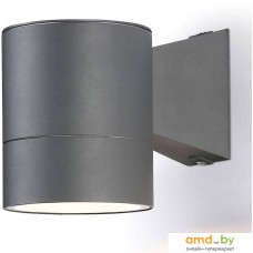 Уличный настенный светильник Ambrella light Garden ST3301