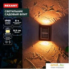 Уличный настенный светильник Rexant Флит 602-2416