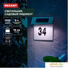 Уличный настенный светильник Rexant Риджент 602-2413