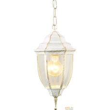 Уличный фонарь Arte Lamp Pegasus A3151SO-1WG