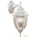 Уличный настенный светильник Arte Lamp Pegasus A3152AL-1WG. Фото №1