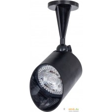 Arte Lamp Elsie A1024AL-1BK