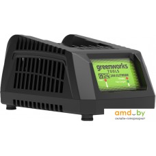 Зарядное устройство Greenworks G24C (24В)