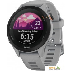 Умные часы Garmin Forerunner 255S 41 мм (светло-серый/черный)