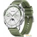 Умные часы Huawei Watch GT 4 46 мм (зеленый). Фото №1