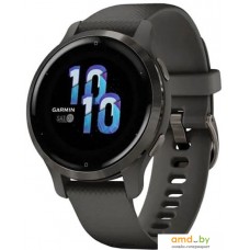 Умные часы Garmin Venu 2S (сланцевая нержавеющая сталь/черный)